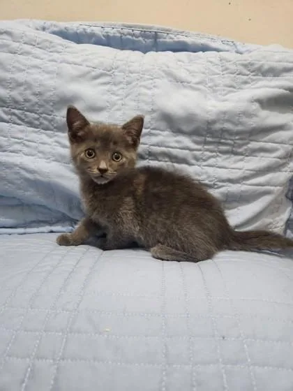 Jaspurr Stephens thumbnail 3