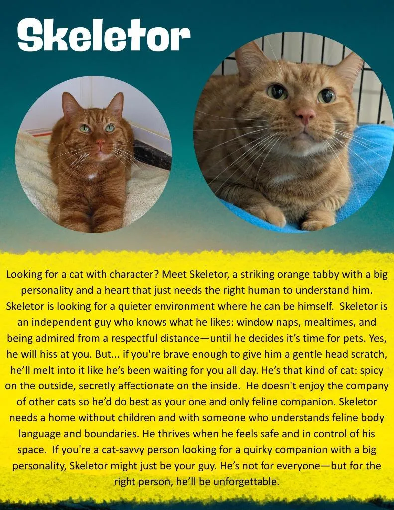 Skeletor thumbnail 3