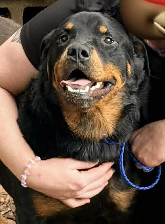 Bubba
