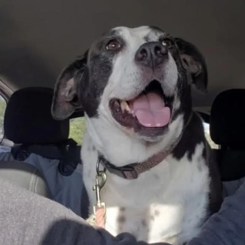 Pepper thumbnail 3