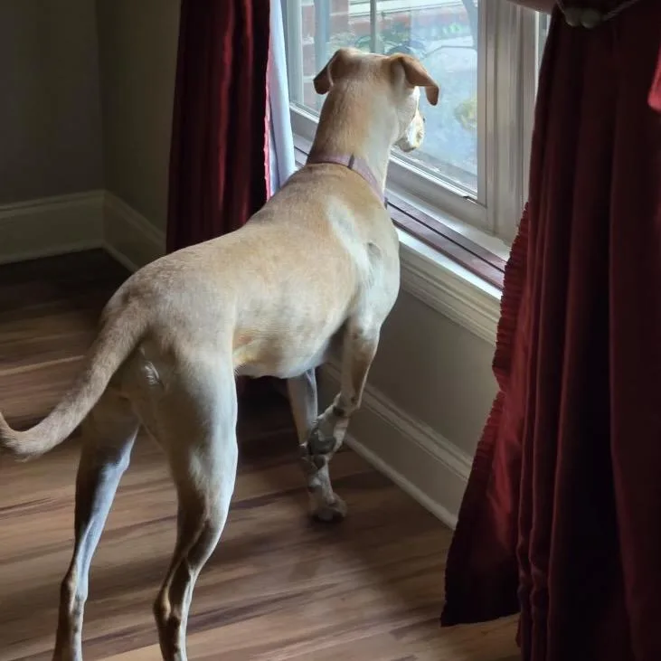 Sally Josephine thumbnail 2