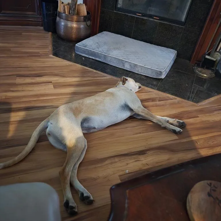 Sally Josephine thumbnail 3