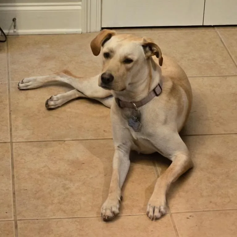 Sally Josephine thumbnail 4