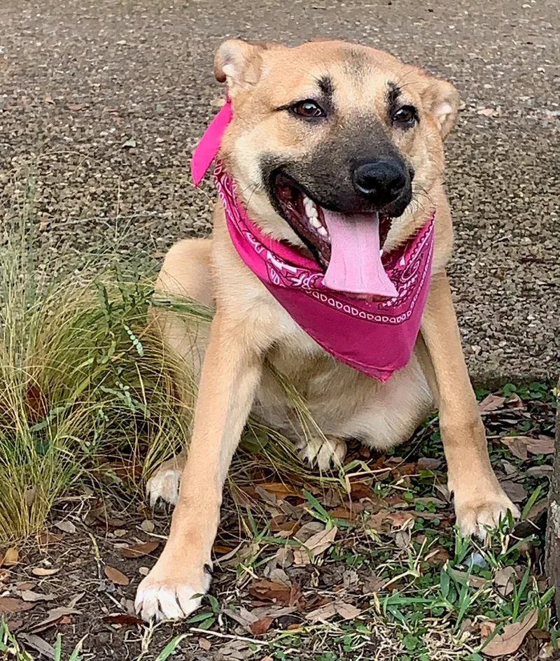 Precious thumbnail 2