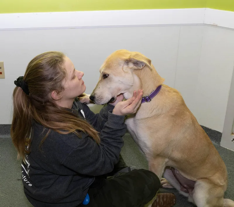 Margerine thumbnail 4