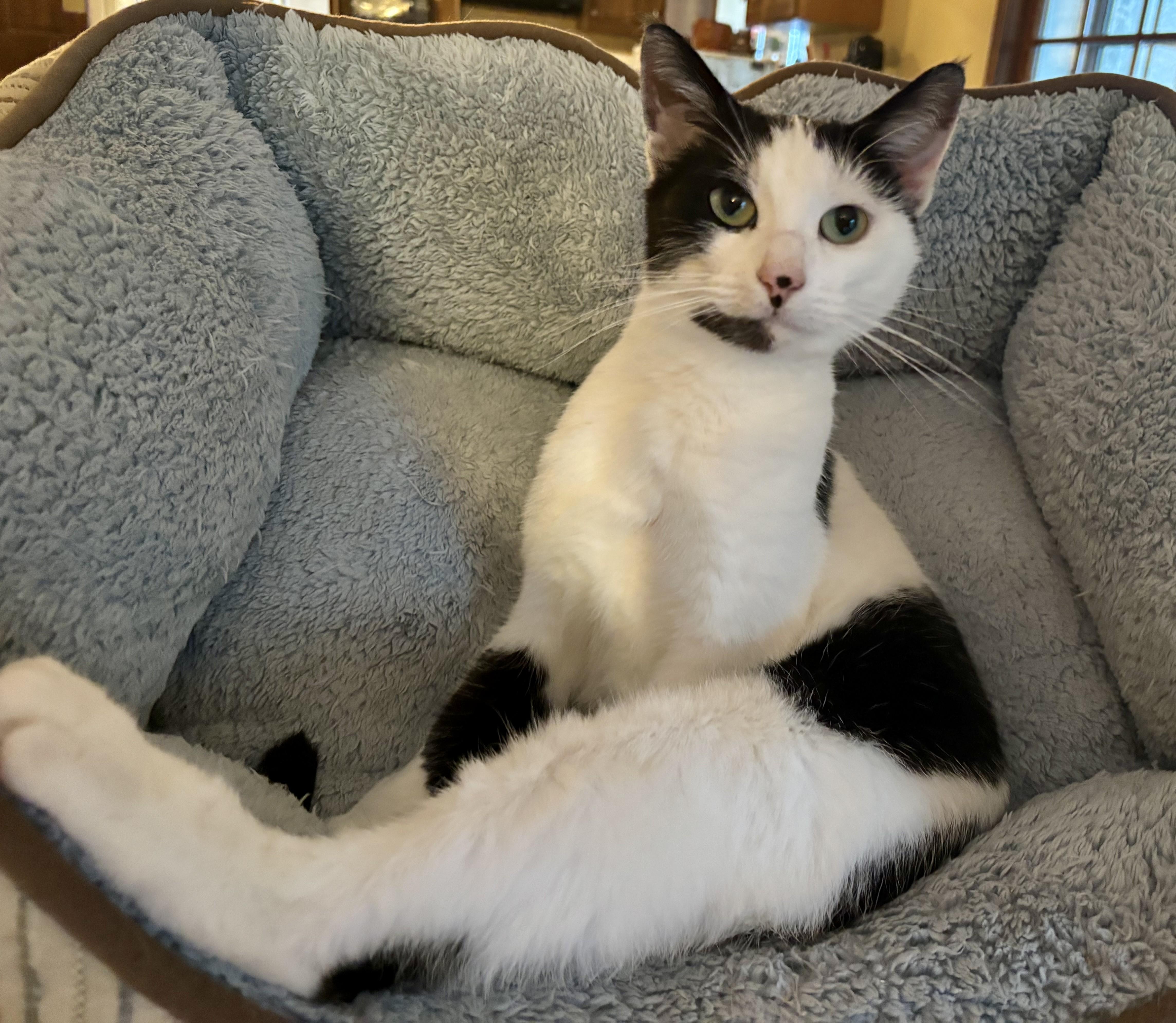 Esmeralda thumbnail 2