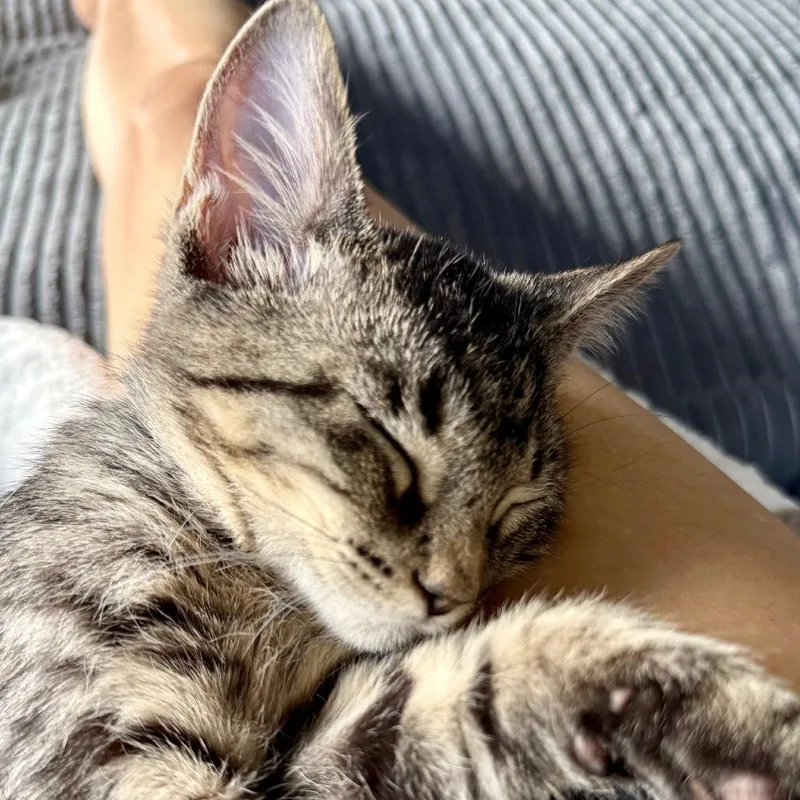 Lilly Jane thumbnail 5