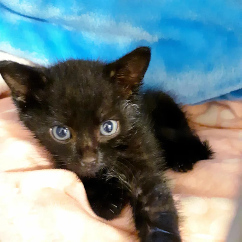 Missy Tues thumbnail 2