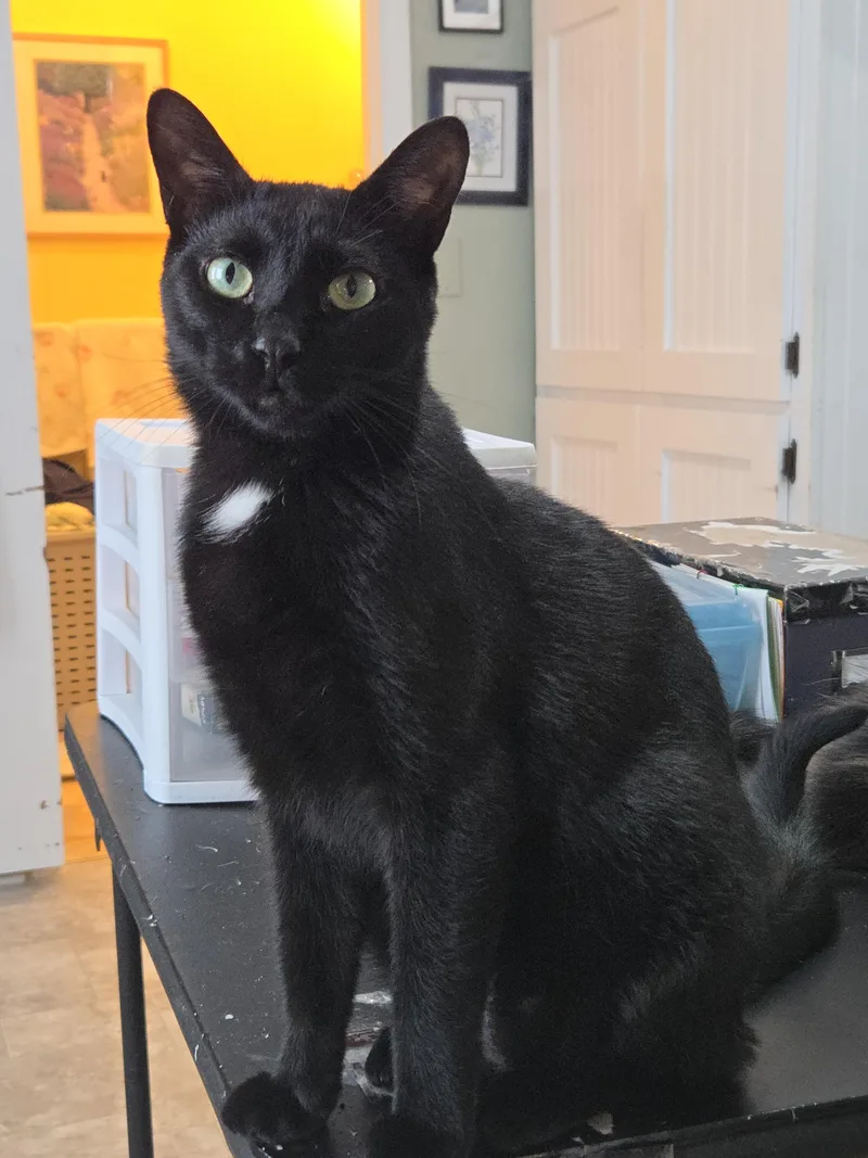 Missy Tues thumbnail 3