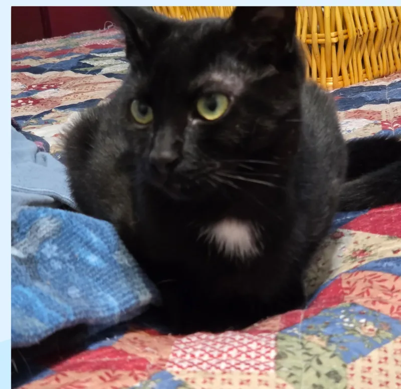 Missy Tues thumbnail 5