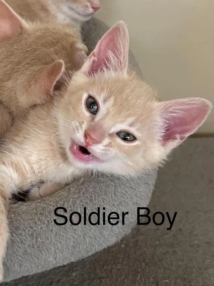 Soldier Boy thumbnail 3