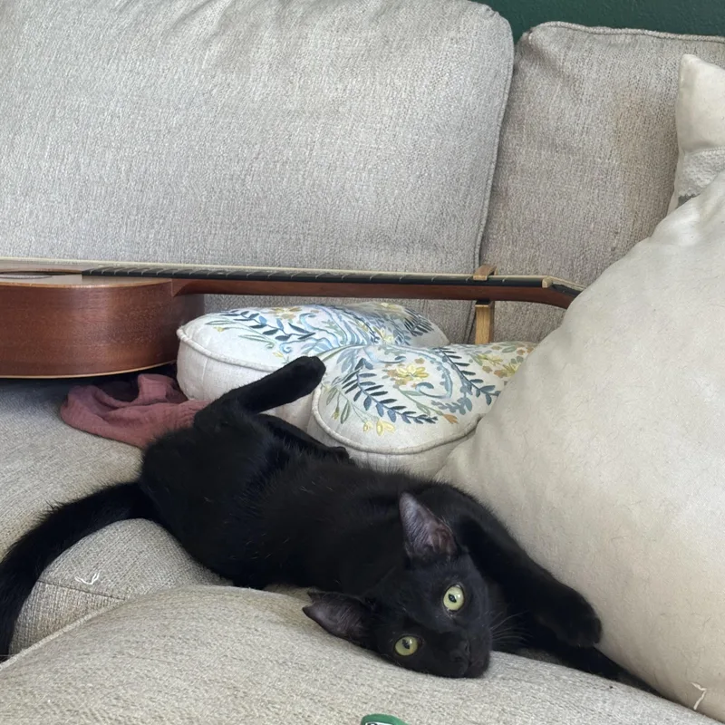 Nightfury thumbnail 5