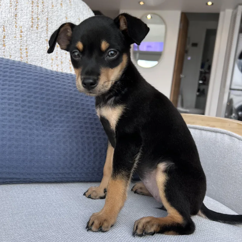 Miss Munch  The thumbnail 3