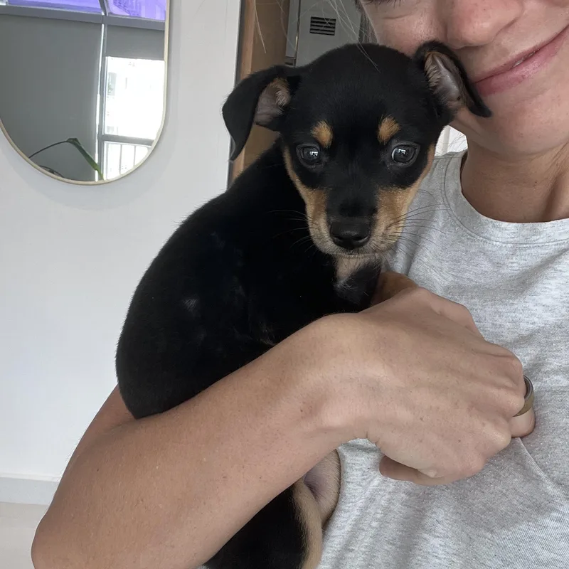 Miss Munch  The thumbnail 6