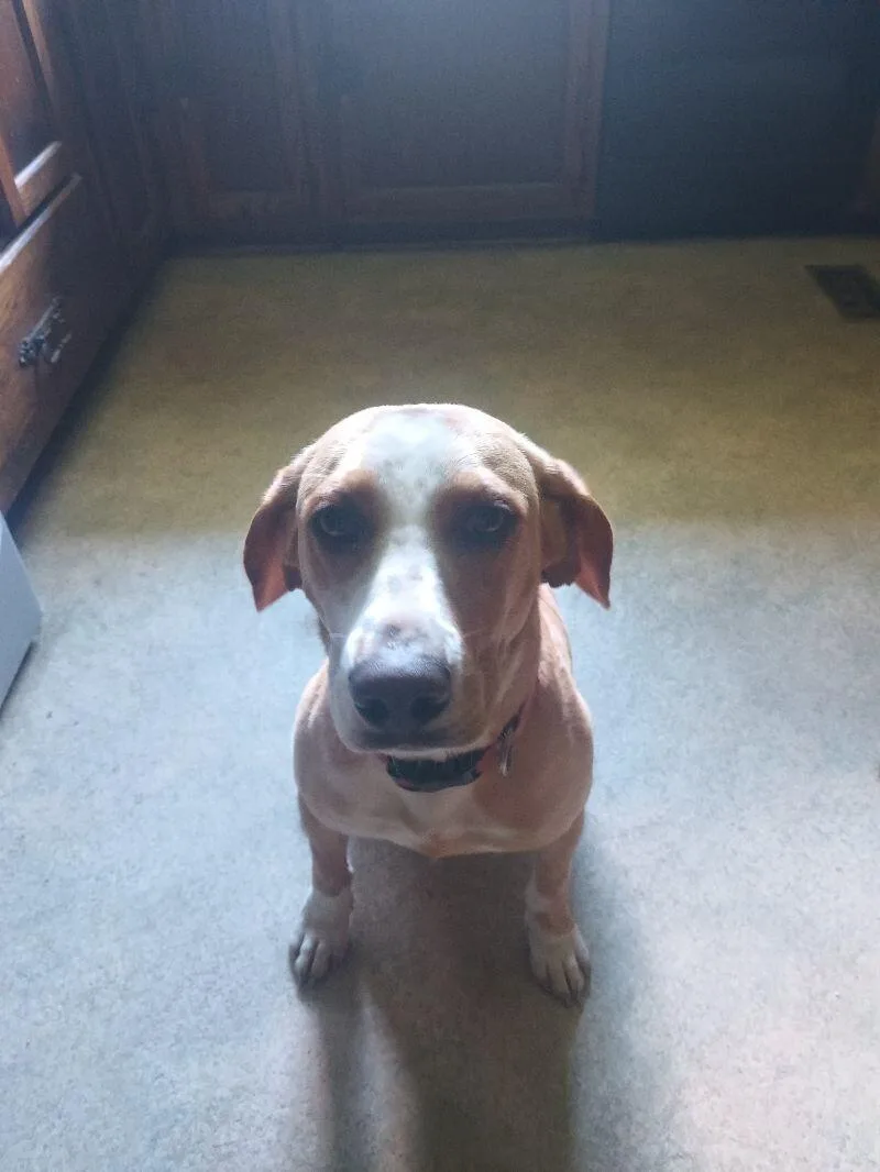 Darrelpaul thumbnail 2