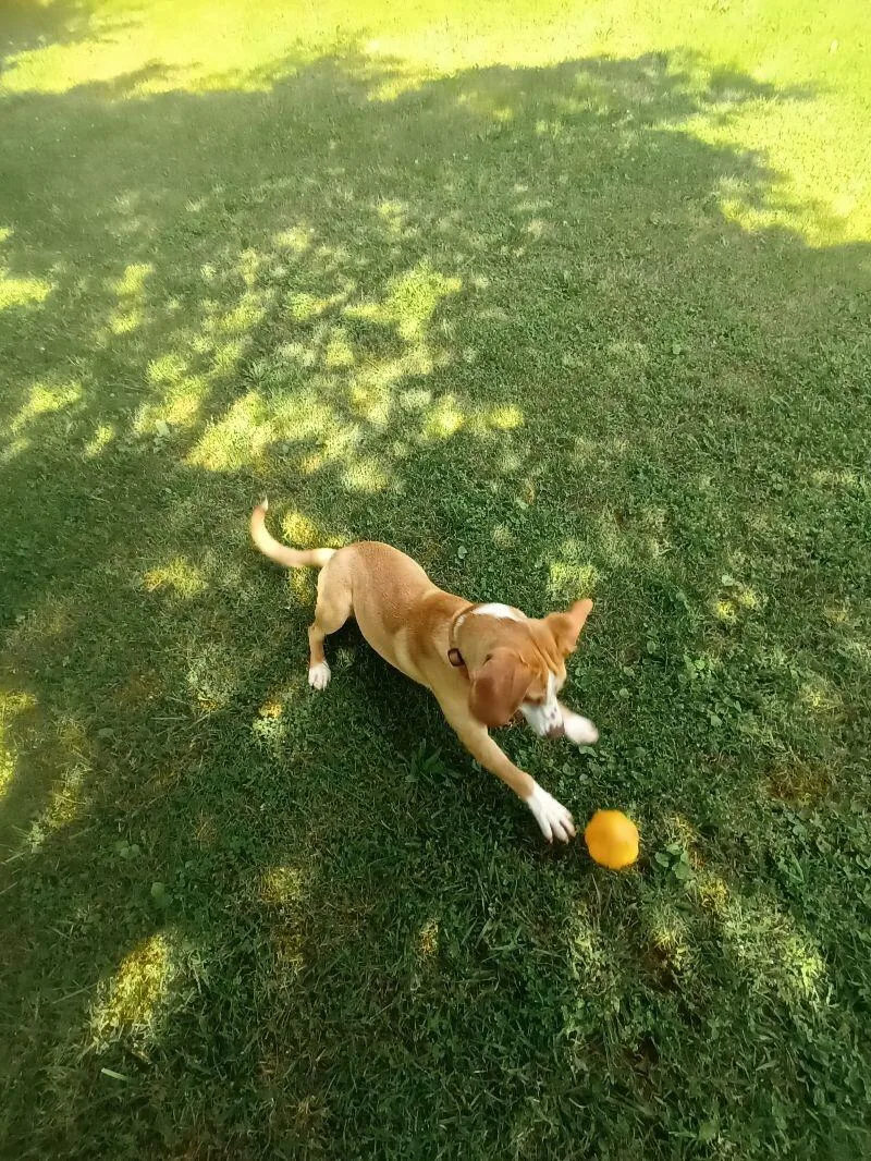 Darrelpaul thumbnail 3