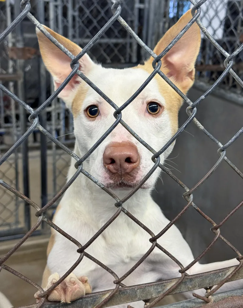 Chloe thumbnail 2
