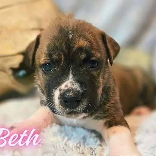 Beth thumbnail 5