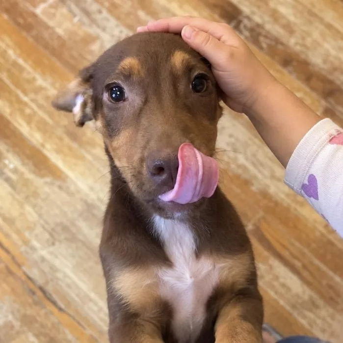 Enzo — The Sweetest thumbnail 2