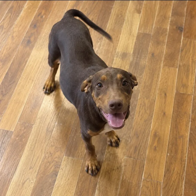 Enzo — The Sweetest thumbnail 3