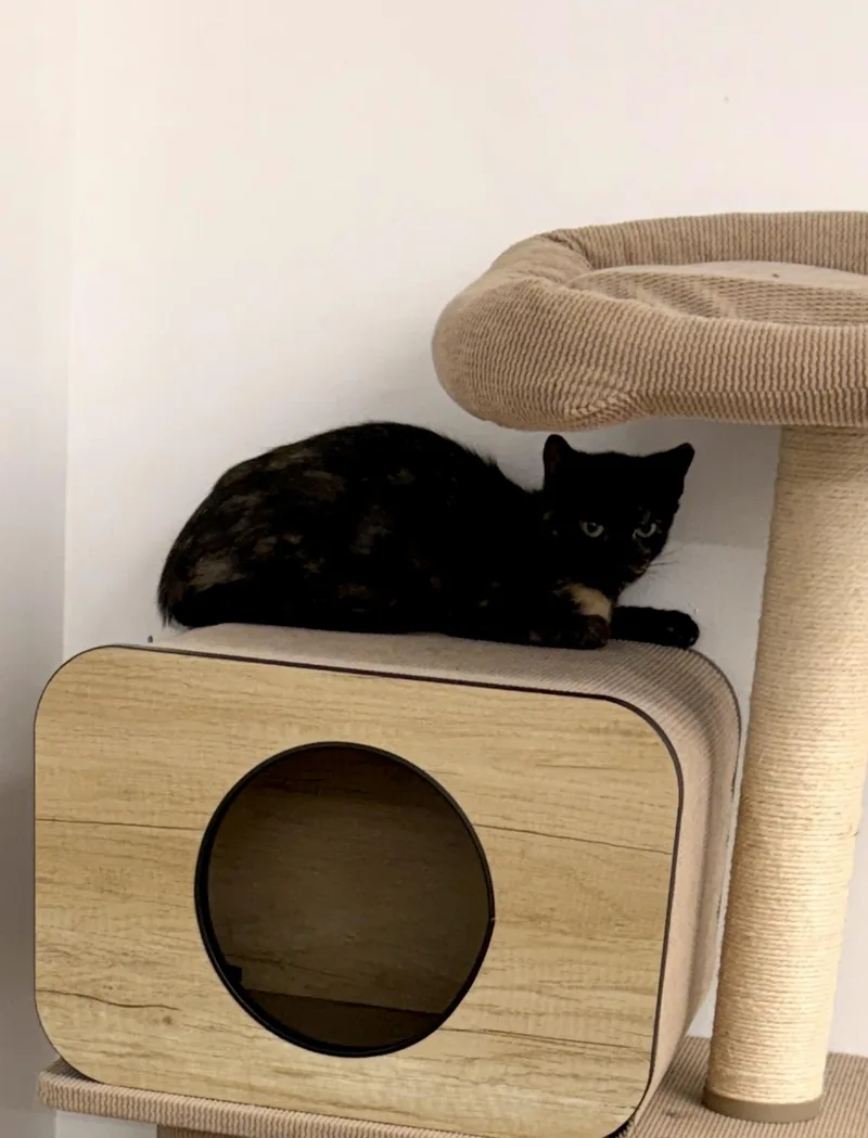 Fiona thumbnail 2