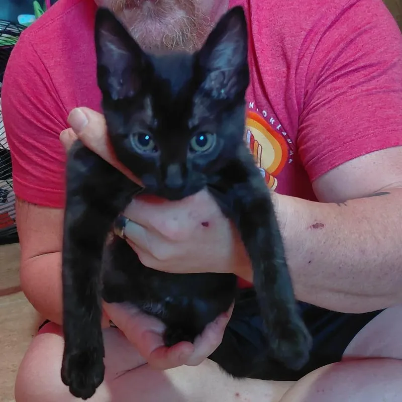 Little Old Me thumbnail 2