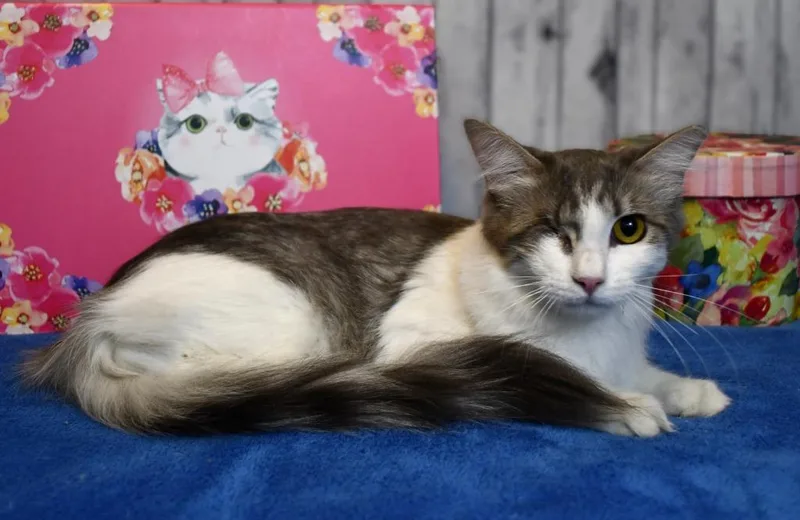 Little Bit thumbnail 2