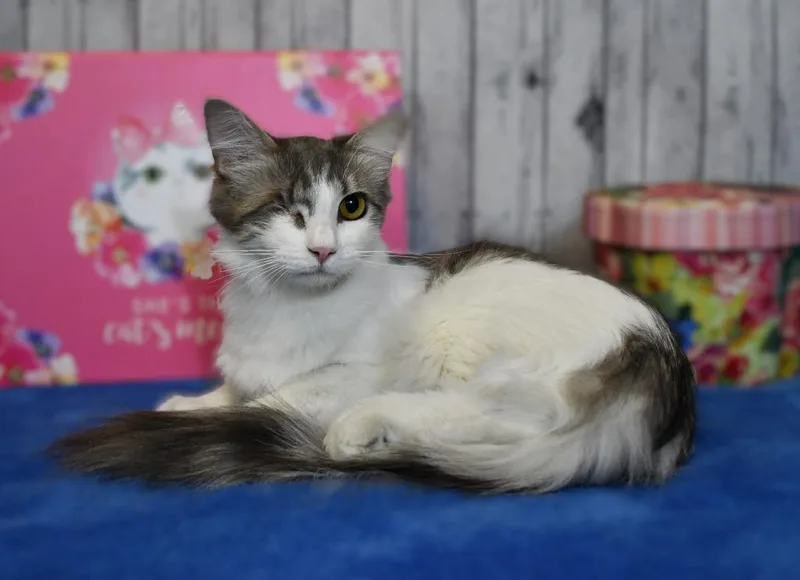 Little Bit thumbnail 3