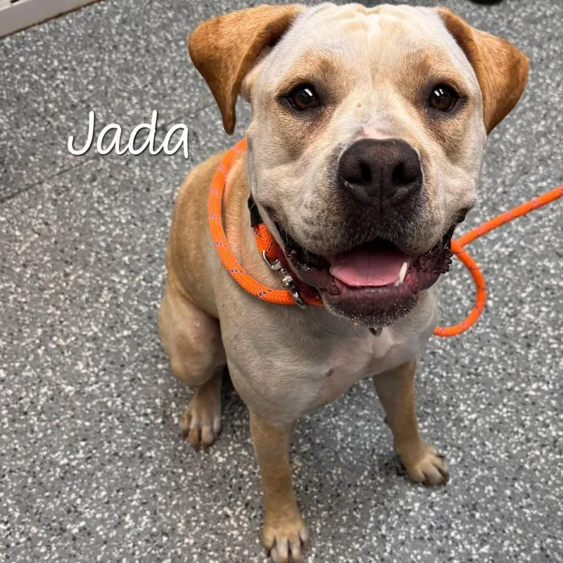 Jada thumbnail 5