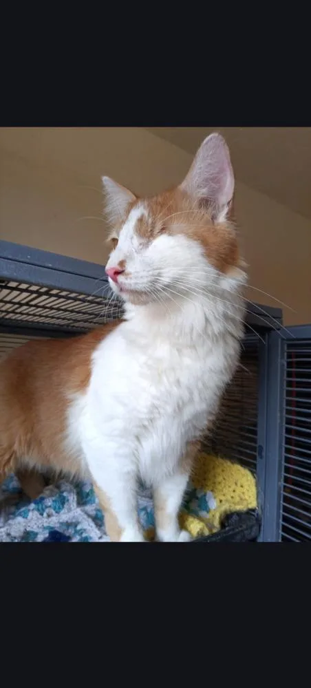 Habanero thumbnail 2