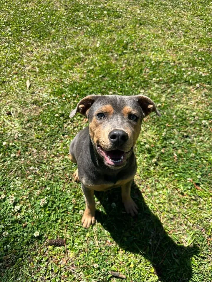 Dorian thumbnail 2