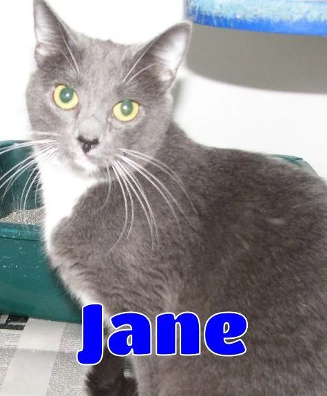 Jane thumbnail 6