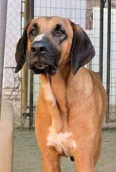 Gordon Lightfoot thumbnail 2