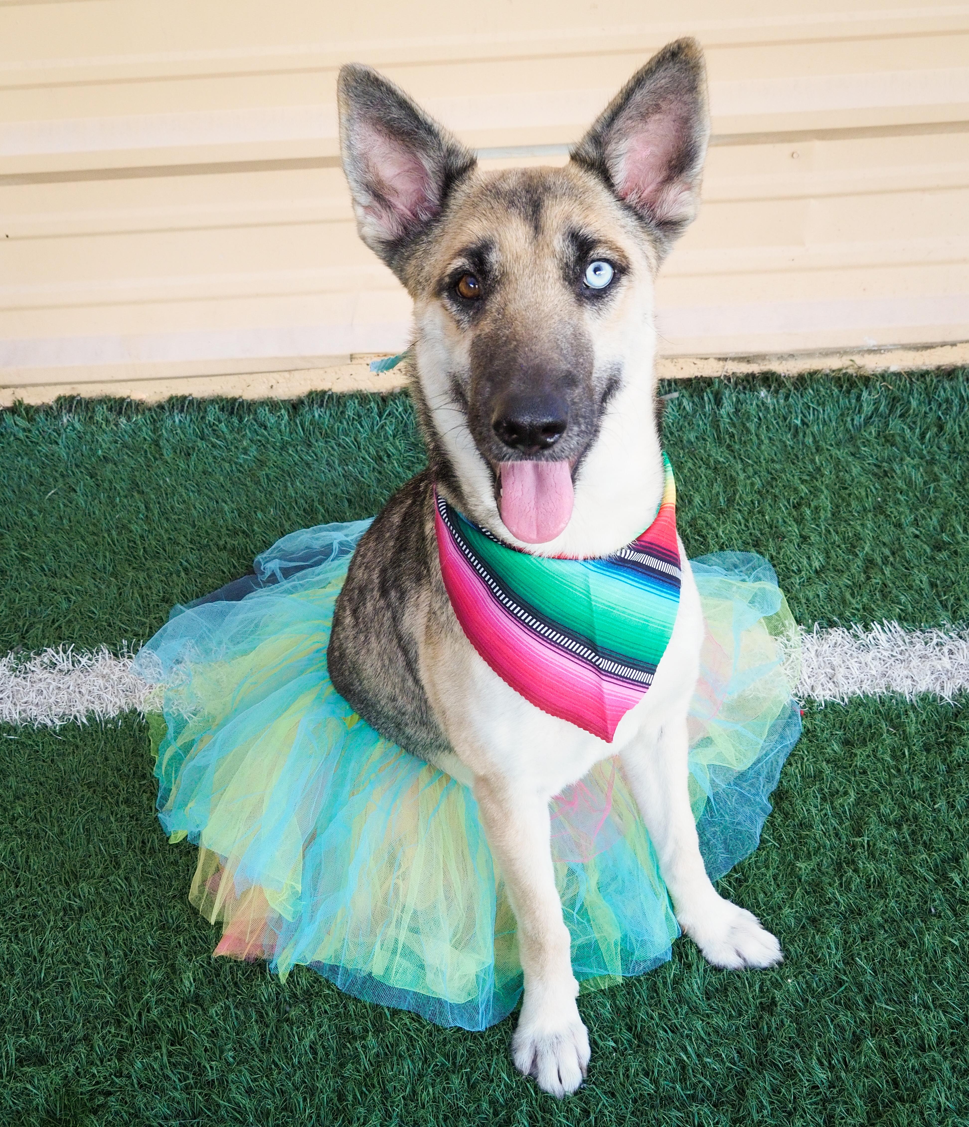 Margarita thumbnail 2