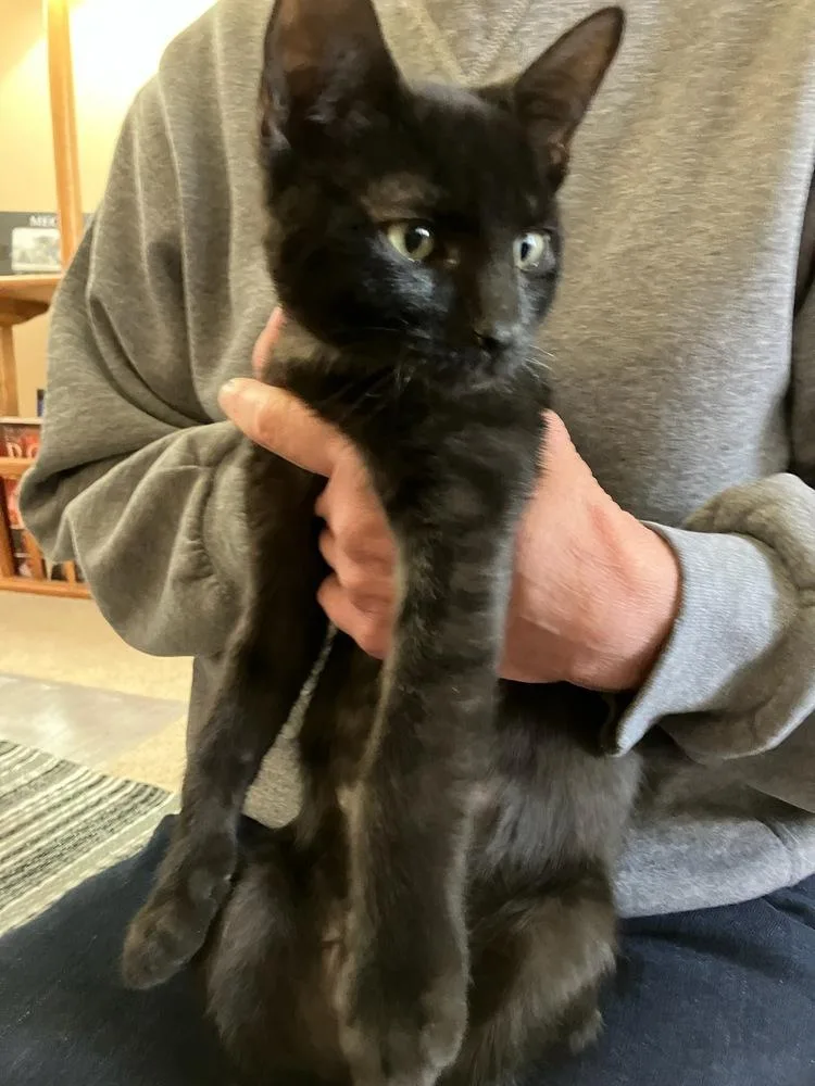 Buddy Kathy thumbnail 2