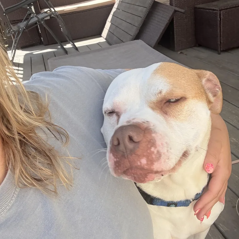 Lena & Choppo  thumbnail 2