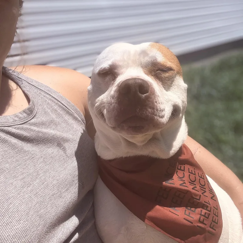 Lena & Choppo  thumbnail 4