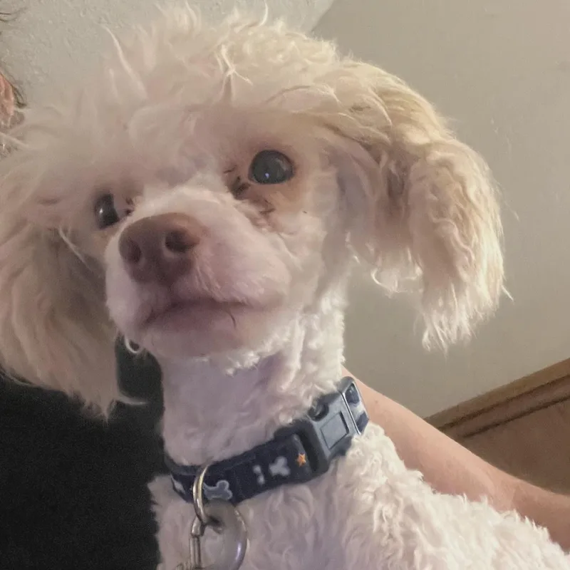 Jerome Aka Pinecone thumbnail 2