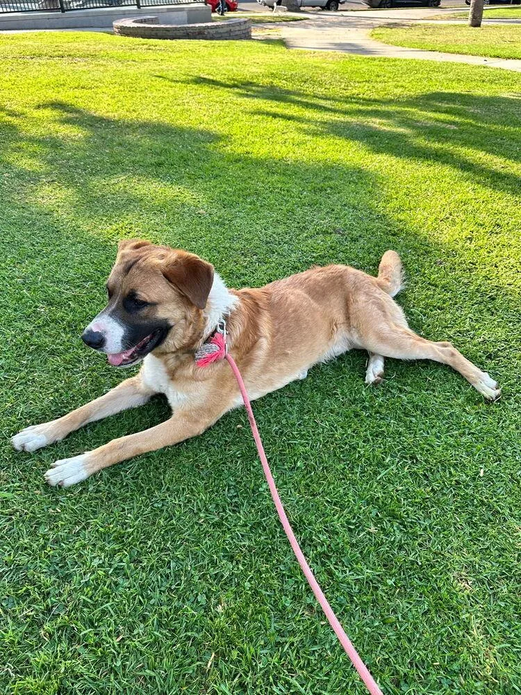 Beethoven thumbnail 3