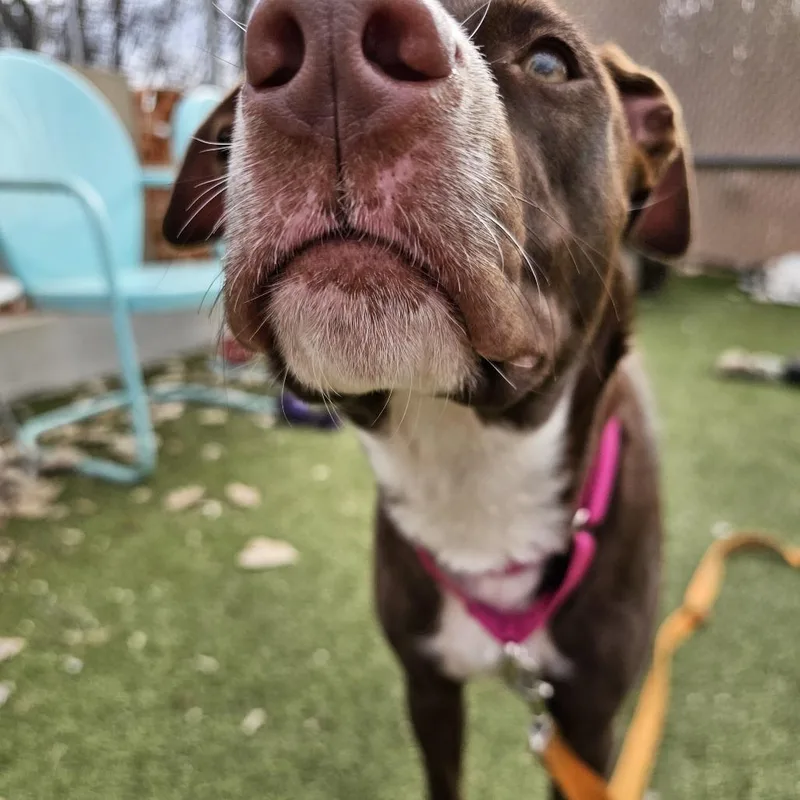 Sandy Seashore thumbnail 2