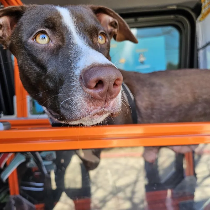 Sandy Seashore thumbnail 5