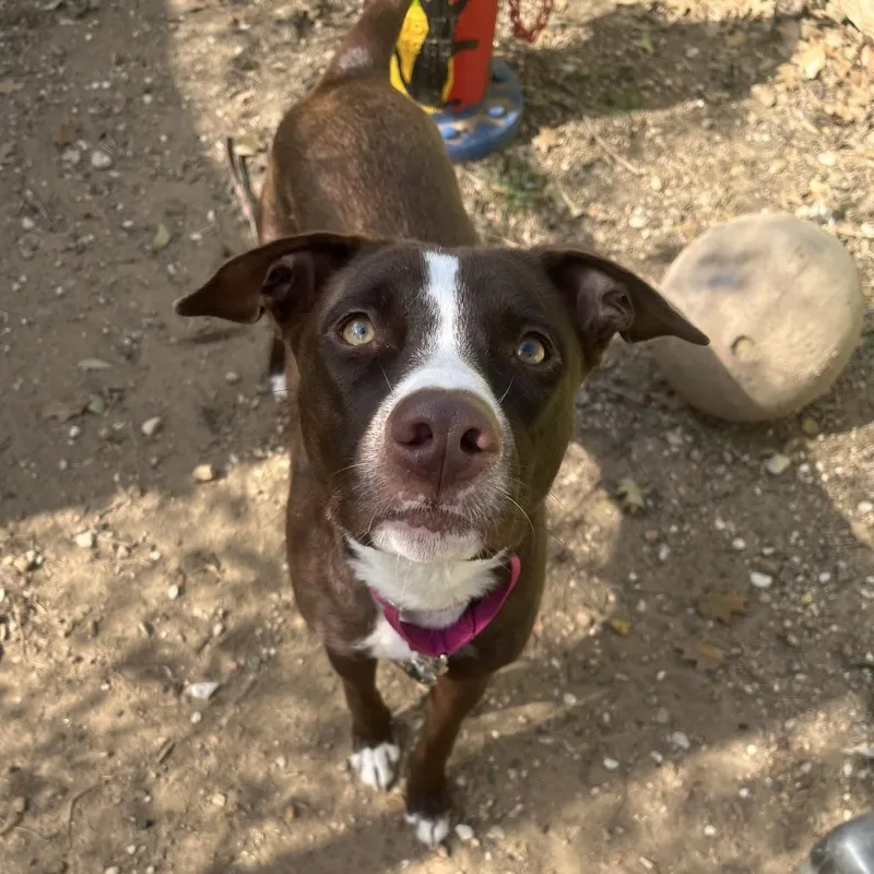 Sandy Seashore thumbnail 6