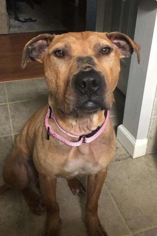 Sunbury   Penelope thumbnail 2