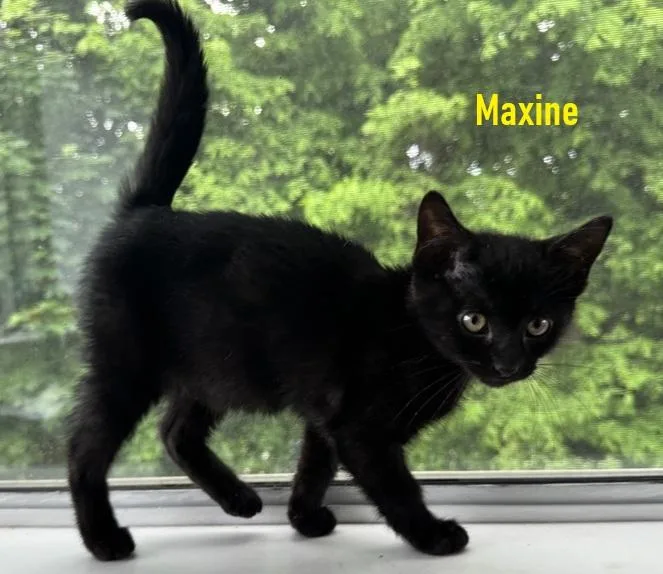 Maxine  Nancy And thumbnail 4