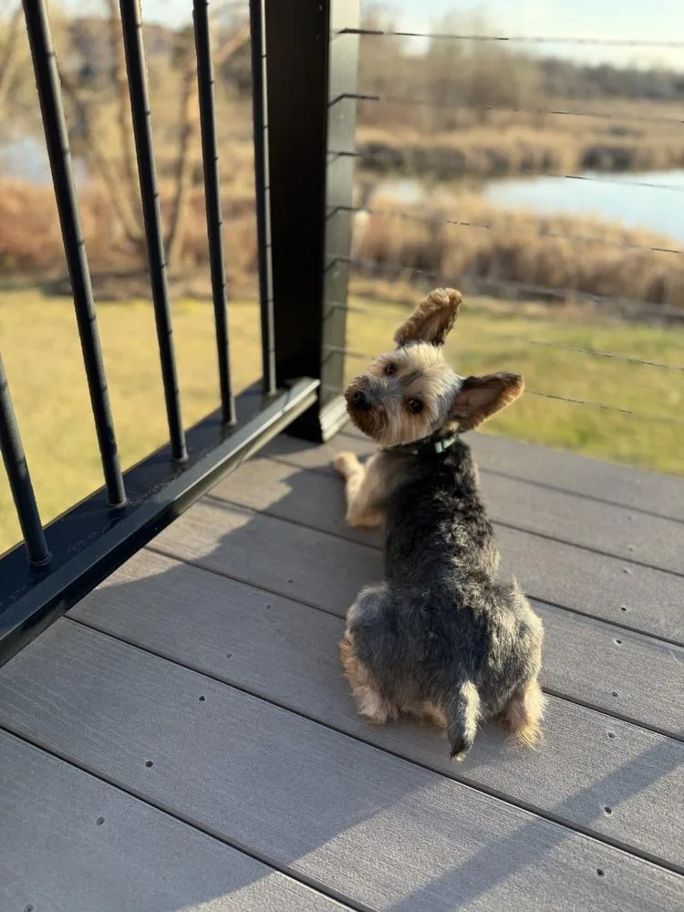 Franklin thumbnail 2