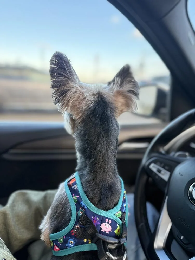 Franklin thumbnail 3