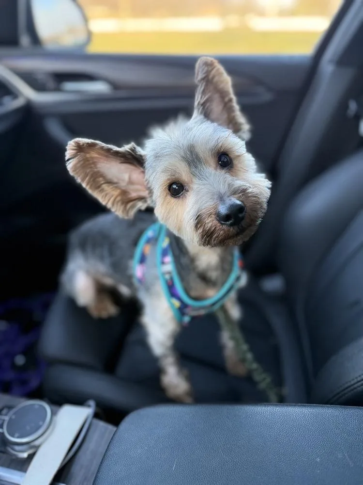 Franklin thumbnail 5