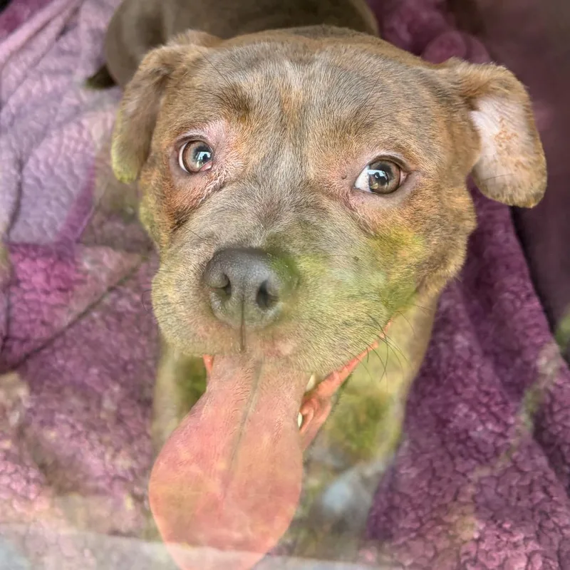 Clementine Clemons thumbnail 2