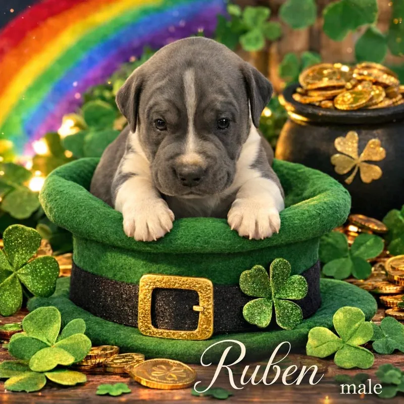 Ruben
