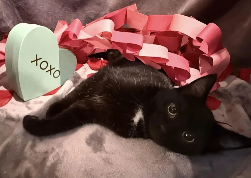 Freeze: Visit At Lynchburg thumbnail 3